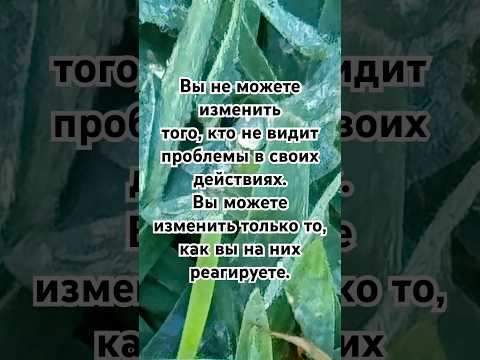 Правда Жизни #trending #мотивацияивдохновение #youtube #shorts #viralvideo #trending #shortsfeed