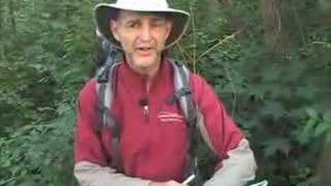 Wilderness Navigation Basics