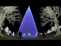 Enchant ‘world’s largest Christmas light maze’