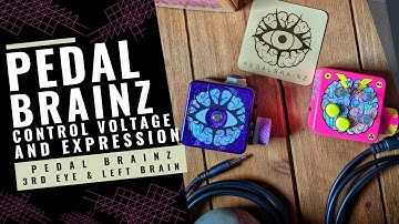 Expression and Control Voltage Explained: Pedal Brainz 3rd Eye & Left Brain CV Demo