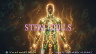 Stem Cells (Amplified Energetic In-Formation)