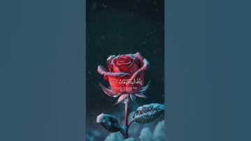 سعد الغامدي:سورة ال عمران الاية:(٨-٩)