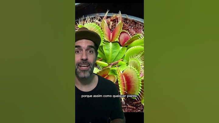 INTERESTING FACTS ABOUT CARNIVOROUS PLANTS | Pidobiology #shortssprintbrasil #shorts