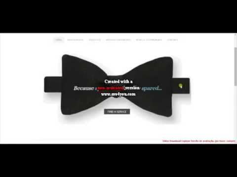 Digital Business: Portal Development and Business Model - The Great Butler