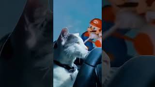 Cat Driving On Rainbow Road In Mario Kart