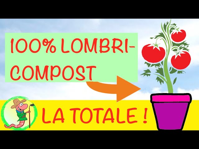 Les vers de compost & le lombricompostage - Vertibio