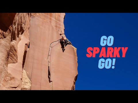 Go Sparky Go