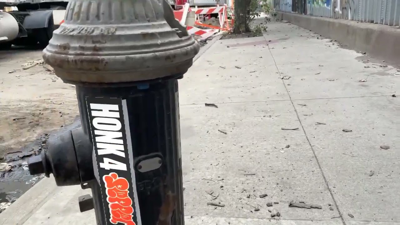 hONK 4 pEPPER 2022 - AR gRAFFITi      short