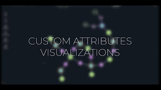Custom attributes Visualization