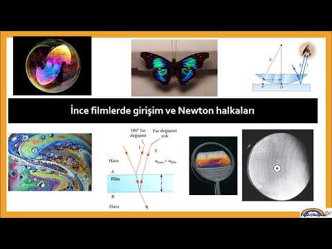 Video: Newton Halkaları Nelerdir