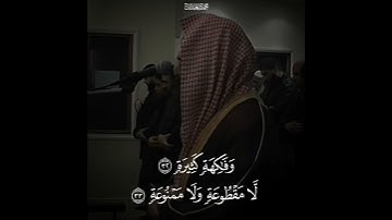 وَأَصْحَابُ الْيَمِينِ مَا أَصْحَابُ الْيَمِينِ ~ محمد اللحيدان [ سورة الواقعة: 27] #القرآن_الكريم
