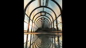 "Understanding Filters: Enhancing Your Photography" #shortvideo #shortsfeedvideo #trending