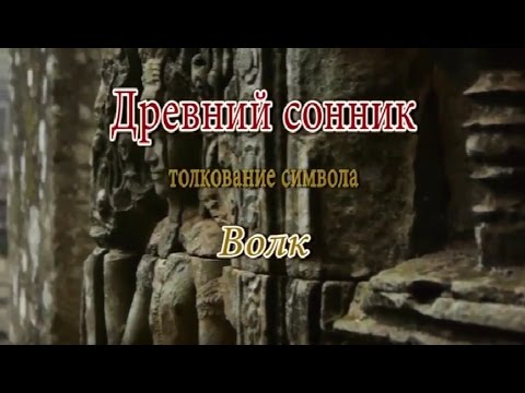 К чему снится Волк сонник, толкование сна