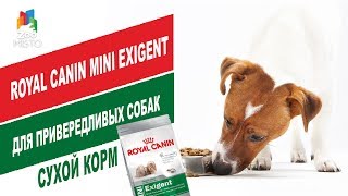 Royal Canin Mini Exigent для привередливых собак | Обзор корма для собак | Dry food for dogs Royal Canin Mini Exigent для привередливых собак | Обзор корма для собак | Dry food for dogs