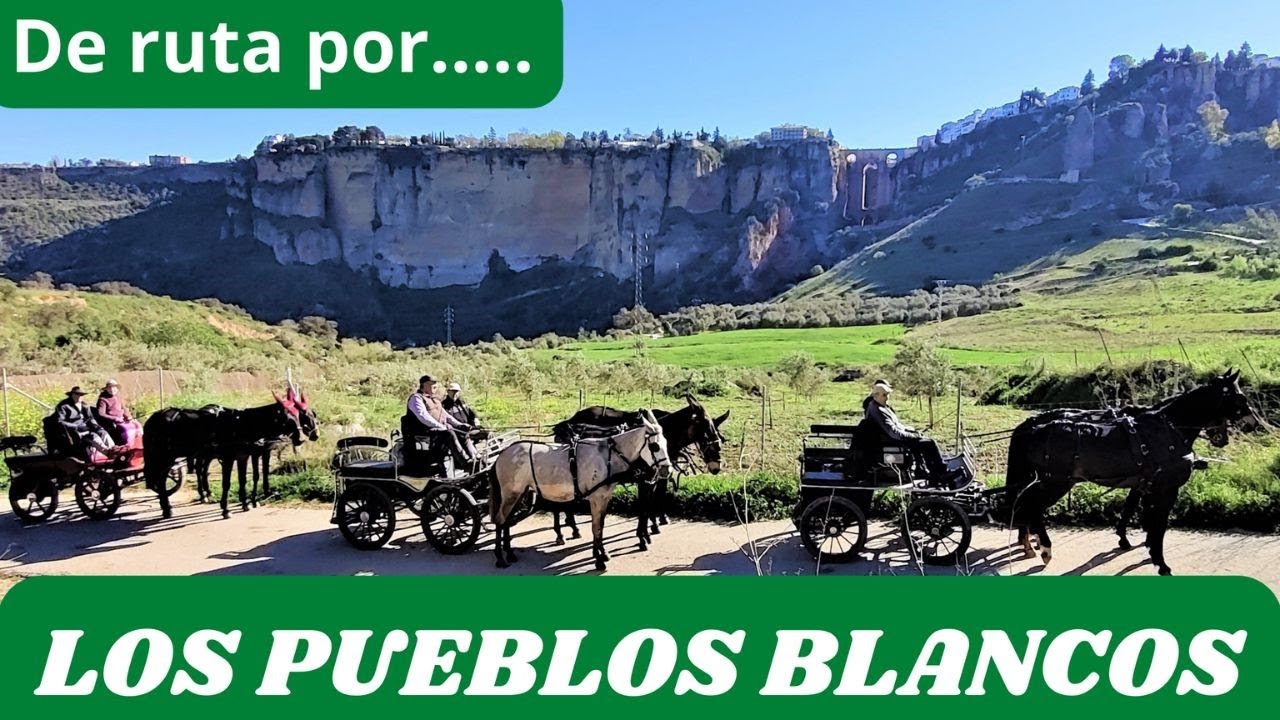 EXCURSION POR LOS PUEBLOS BLANCOS CON TRACCIÓN ANIMAL