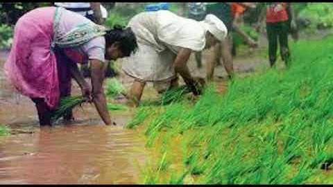 Std: 4th: EVS-1: Chp 15: My district my state ( Part 2 )