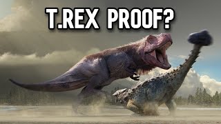 Did T. rex Hunt Ankylosaurus? Analyzing Predatory Behavior and Evidence