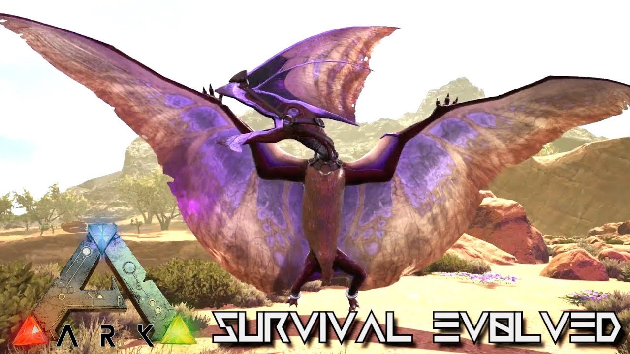 Тапежара арк карта