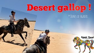HD : Au galop dans le désert de dunes, région d'Agadir ~ Amazir Cheval Excursions