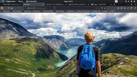 Easy Peasy tryhackme walkthrough