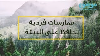 كيف نحافظ على البيئة؟ إليك أهم الطرق!