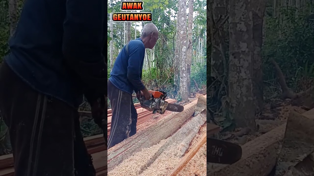 Proses belah kayu menjadi papan YouTube