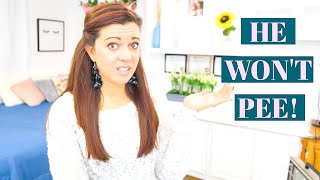 WHAT TO DO WHEN YOUR KID WON'T PEE | How to Handle Potty Training Refusals & Withholding Urine