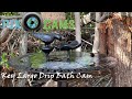 PixCams.com Key Largo Drip Bath Cam Live Stream