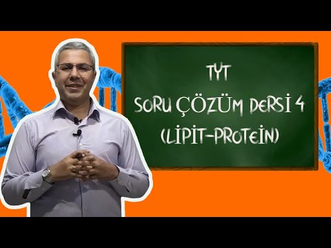 Video: DNA polimeraz 1/2 ve 3'ün işlevleri nelerdir?