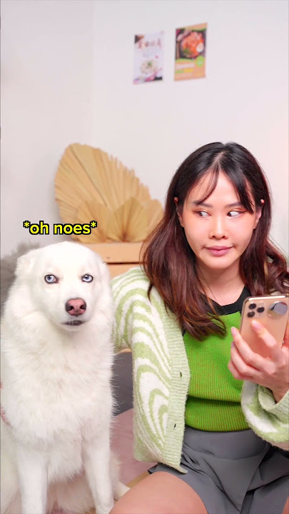 YOU CAN MAKE HATS WITH HUSKY FUR?!?! 👀