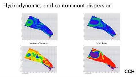 Reservoir Contamination Models