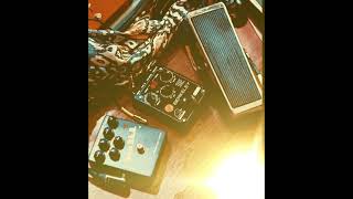 Venus witch Wah / Horrothia Berkeley | Tech 21 DLA