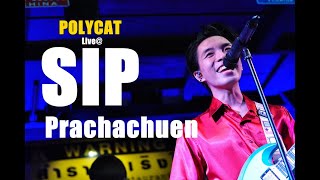 Video voorbeeld van "SIP Prachachuen | ยังยินดีครับเพื่อน - POLYCAT"