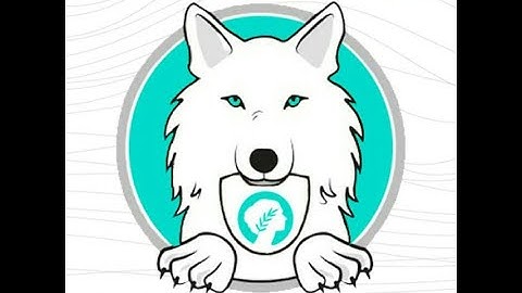 How to buy Metisamainu token. #Metisamainu #metis