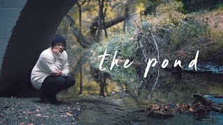 Rosendale - The Pond (Lyric Video) Resimi