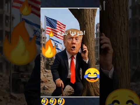 ولع دلوقتي يابني اشوفها بتولع