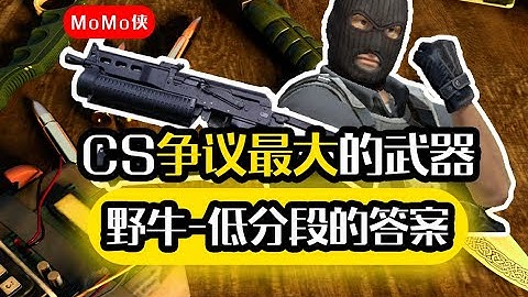 为啥野牛就是一把纯纯的瘤子枪