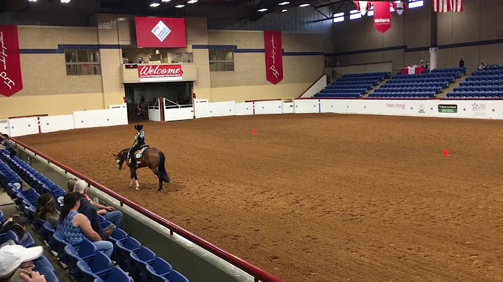 1 Horsemanship