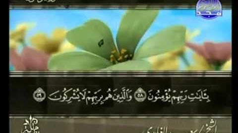 القرآن الكريم   الجزء الثامن عشر   تلاوة سعد الغامدي   18