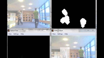 Motion Detection by Optical Flow