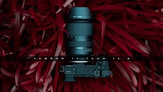 Tamron 17-70mm f2.8  - ONE lens for EVERYTHING! (APS-C, Sony-E)