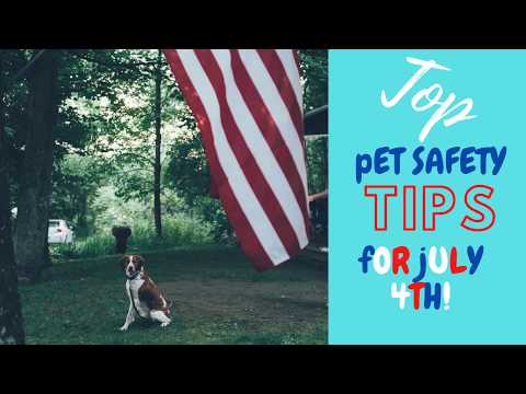 Βίντεο: Top Ten Four Of July Pet Safety Tips