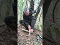 Cold Steel SRK & J&V wolf ,dos todoterreno polivalentes. #bushcraft #survival #shorts #youtubeshorts