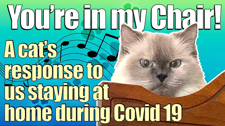 You're In My Chair - Grumpy Cats Singing Covid Son...