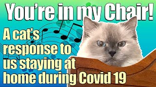 You're In My Chair  Grumpy Cats Singing Covid Song parody during our time at home!