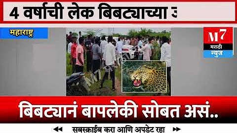 😱 4 वर्षांची लेक बिबट्याच्या जबड्यात.....बिबट्याने बाप लेकी सोबत असं केलं l M7 Marthi News 