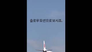 #버드스트라이크 #안전교육 #항공사고 #항공안전 #안전관리자