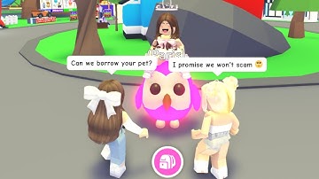 They SCAMMED Their Friend So I did this To Them In Adopt Me!  😂