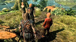 $165 Budget PC - Skyrim HIGH SETTINGS