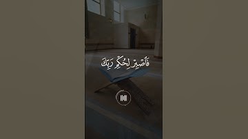 ماهر المعيلقي - سورة الانسان